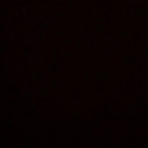 Meet your Posher, Mia